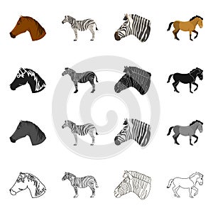 Vector design of trot and running logo. Set of trot and clipart vector icon for stock.