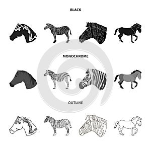 Vector design of trot and running sign. Set of trot and clipart vector icon for stock.