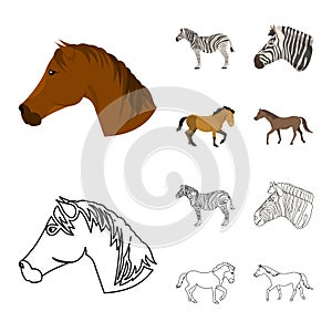 Vector design of trot and running sign. Set of trot and clipart vector icon for stock.