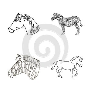 Vector design of trot and running symbol. Collection of trot and clipart stock symbol for web.