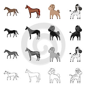 Vector design of trot and running symbol. Collection of trot and clipart stock symbol for web.