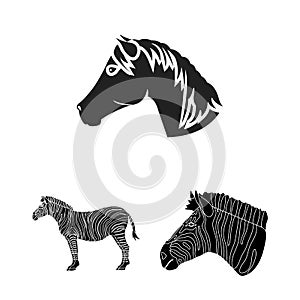 Vector design of trot and running symbol. Collection of trot and clipart vector icon for stock.