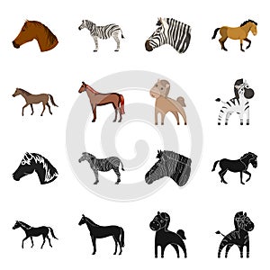 Vector design of trot and running symbol. Set of trot and clipart stock symbol for web.