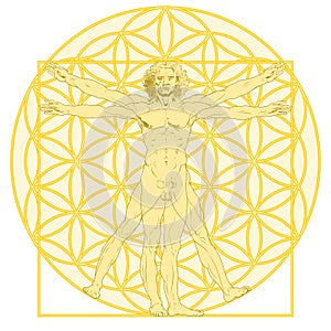 Vitruvian man with the flower of life