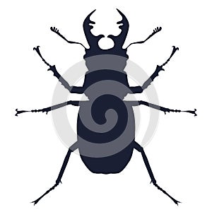 Vector detailed silhouette of deer beetle