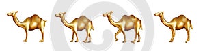 Vector different poses camels isolated over white background