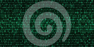 Vector digital green background of streaming binary code. Matrix background with numbers 1.0. Coding or hacking concept