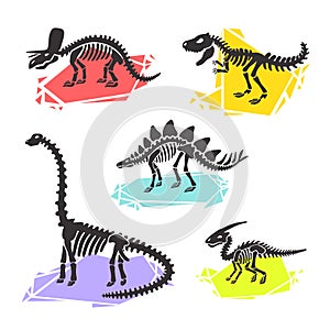 Vector dinosaur skeleton set diplodocus, triceratops, t-rex, stegosaurus, parasaurolophus.