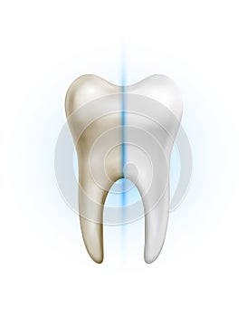 Vector dirty tooth and white clean healthy tooth comparison on white background