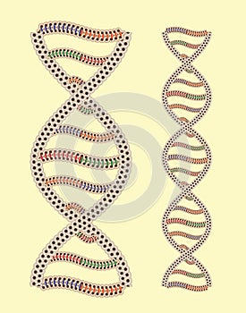 Vector DNA as Greek ornament