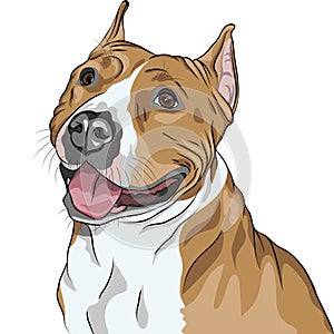 vector Dog American Staffordshire Terrier smiles