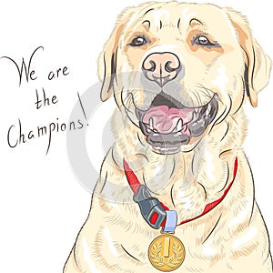 Vector dog breed Labrador Retriever champion