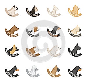 Vector dog breeds icons collection isolated on white