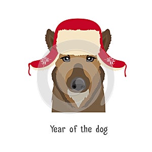 Vector dog head in winter new year christmas flapped hat photo