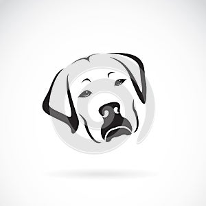 Vector of a dog headLabrador Retriever on white background.