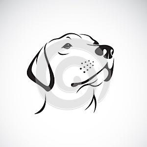 Vector of a dog headLabrador Retriever on white background.