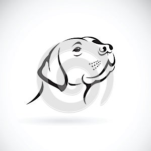 Vector of a dog headLabrador Retriever on white background.