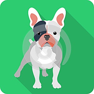 Vector dog icon flat design