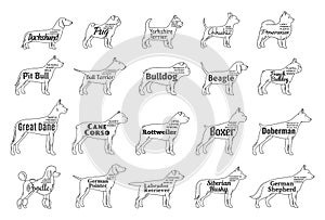 Vector dog icons collection isolated on white. Dogs breeds names