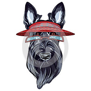 vector dog Scottish Terrier breed in visor