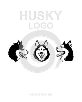 Vector of a dog siberian husky on white background. Husky logo. Vector dog set. Pet