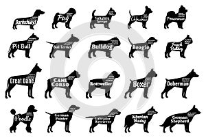 Vector dog silhouettes collection on white. Dogs breeds