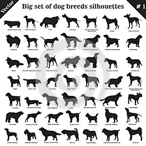 Vector dogs silhouettes 1