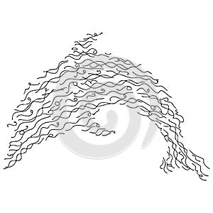 Vector doodle dolphin silhouette isolated on white background. Logo design template. Hand drawn outline illustration. Dolphin icon