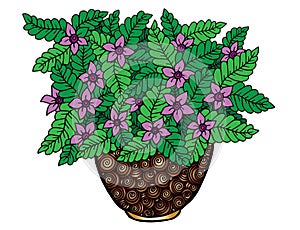 Vector doodle floral illustrated. Bouquet of flowers in a vase, hand drawing