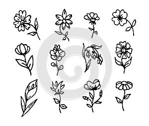 Vector doodle floral set, hand traced drawing, collection of simple flowers