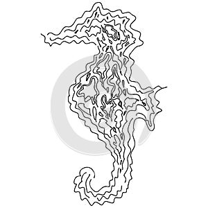 Vector doodle seahorse silhouette isolated on white background. Logo design template. Hand drawn outline illustration. Dolphin