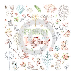 Vector doodles forest Christmas set.