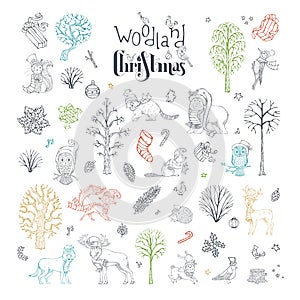 Vector doodles woodland Christmas set.