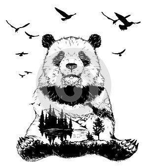 Double exposure, panda bear and forest landscape