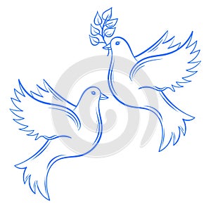 Vector Doves. Hand drawn Dove of Peace illustration and dove wit