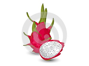 Vector Dragon fruit isolated on white background