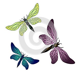 Vector dragonflies