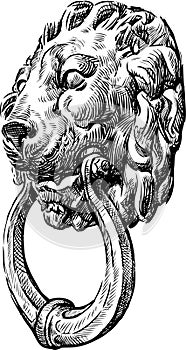 Door handle in the form of a lions head