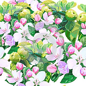 Vector drawing of apple blossoms