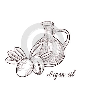 Vector drawing argan oil