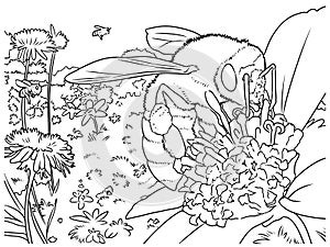 Dibujo de miel de abeja sobre el flor en blanco y negro 