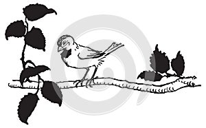 Vector drawing of bird perched on tree branch photo