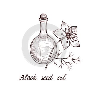 Vector drawing black seed oil