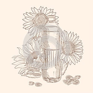 Vector drawing of a bottle of vegetable oil and sunflowers, hand drawn illustration