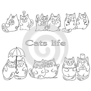 Vector drawing cats on a white background