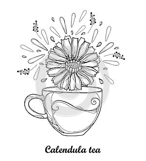 Vector drawing of contour cup of Calendula officinalis herbal tea with petals and flower in black isolated on white background.