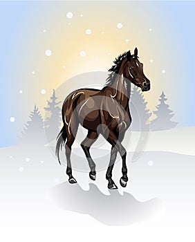 Vector drawing of a horse in winter