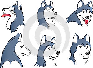 Vector drawing Huskies