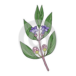 Vector drawing karvy