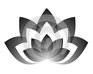 Vector drawing of a lotus in black color yin yang.